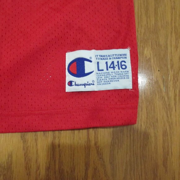 Vintage Warrick Dunn #28 Tampa Bay Buccaneers Youth Jersey L 14-16 by Champion - Picture 3 of 5